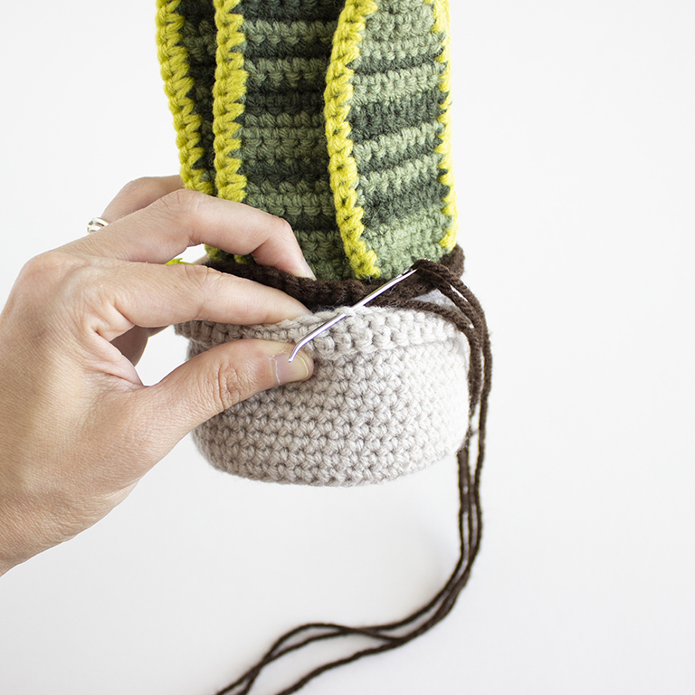 Free Crochet Snake Plant Amigurumi Pattern - LEAF VARIATIONS - ASSEMBLY - 12