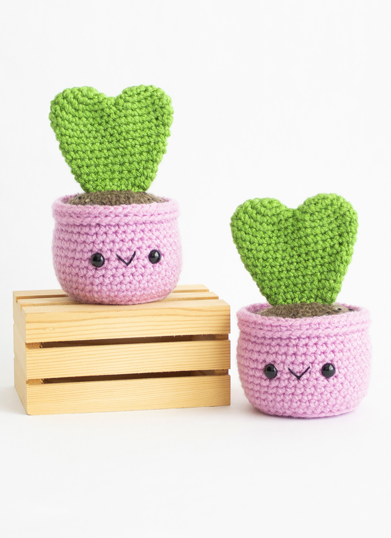 Hoya Heart Succulent Crochet Pattern - Valentines Cactus Feature Photo