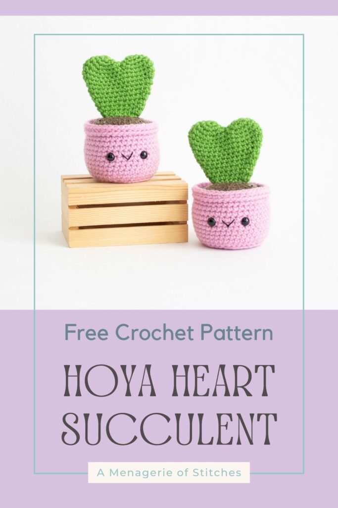 Hoya Heart Succulent Crochet Pattern - Valentines Cactus PIN